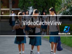 【VideoCacheView】免费VideoCacheView软件下载