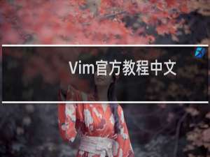 Vim官方教程中文