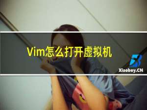 Vim怎么打开虚拟机