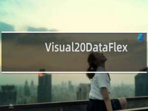 【Visual DataFlex】免费Visual DataFlex软件下载