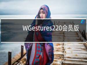 【WGestures2 会员版】免费WGestures2 会员版软件下载