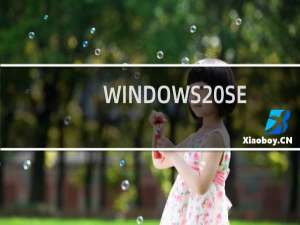 WINDOWS SERVER 2008R2无法打开启用或关闭