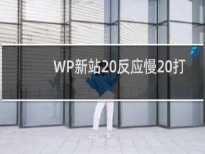 WP新站 反应慢 打不开