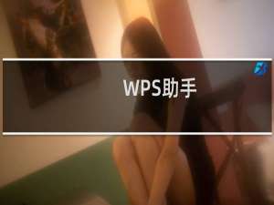 【WPS助手】免费WPS助手软件下载