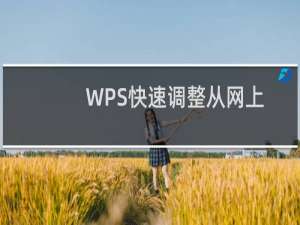 WPS快速调整从网上复制的零乱文字