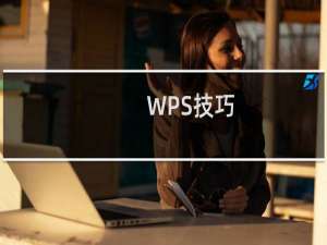 WPS技巧:\