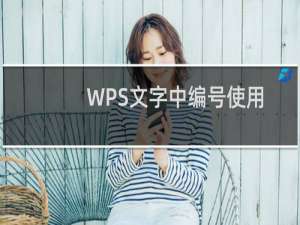 WPS文字中编号使用全攻略