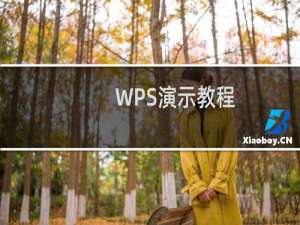 WPS演示教程:打造趣味课件