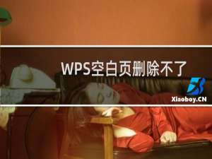 WPS空白页删除不了