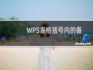 WPS表格括号内的备注内容怎么批量删除