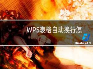 WPS表格自动换行怎么设置?