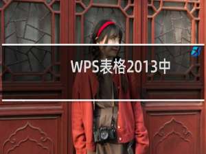 WPS表格2013中对于重复项的处理