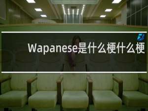 Wapanese是什么梗什么梗