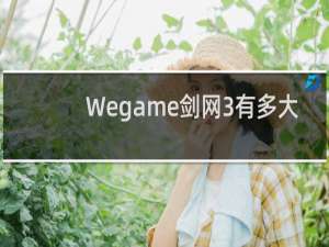 Wegame剑网3有多大