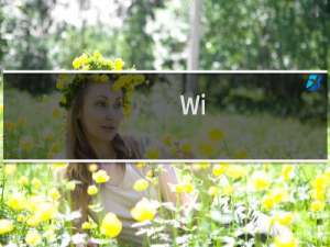 Wi-Fi无线数据传输五大特点