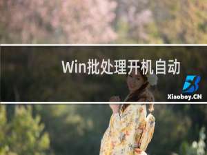 Win批处理开机自动设置IP地址