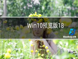 Win10预览版18358电脑管家程序不能启动怎么办?