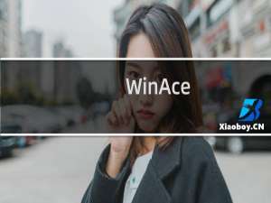 【WinAce】免费WinAce软件下载