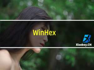 【WinHex】免费WinHex软件下载