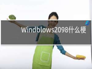 Windblows 98什么梗