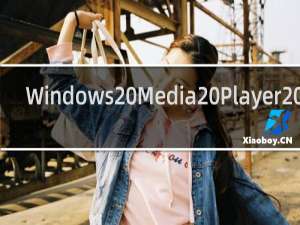 【Windows Media Player 11】免费Windows Media Player 11软件下载