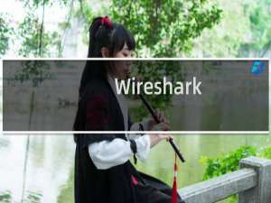 【Wireshark】免费Wireshark软件下载