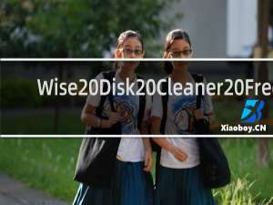 【Wise Disk Cleaner Free】免费Wise Disk Cleaner Free软件下载