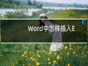Word中怎样插入Excel表格