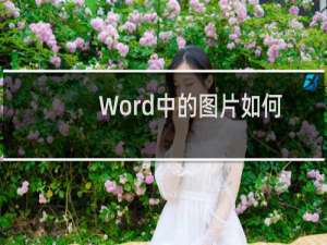 Word中的图片如何排版