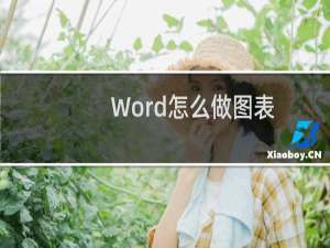 Word怎么做图表（word中怎么制作图表）