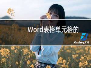 Word表格单元格的拆分与合并