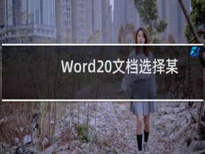 Word 文档选择某部分的字母单词的设置技巧