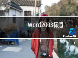 Word2003标题行首总是出现小黑点方块怎么办?