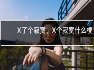 X了个寂寞、X个寂寞什么梗