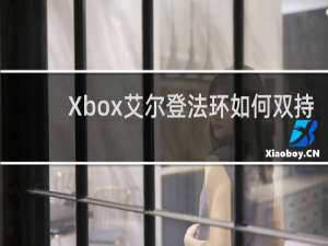 Xbox艾尔登法环如何双持