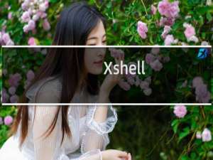 【Xshell】免费Xshell软件下载