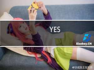 YES!YES!YES!/NO!NO!NO!什么梗