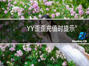 YY歪歪充值时提示\