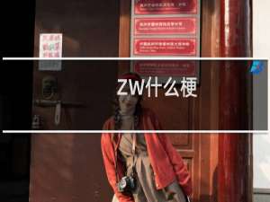 ZW什么梗