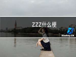 ZZZ什么梗
