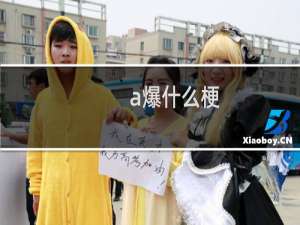 a爆什么梗