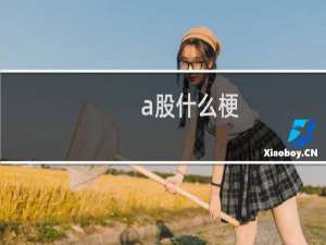 a股什么梗