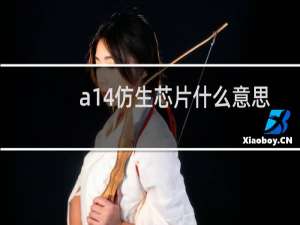 a14仿生芯片什么意思