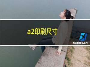 a2印刷尺寸