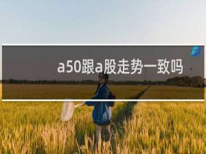 a50跟a股走势一致吗