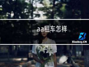 aa租车怎样