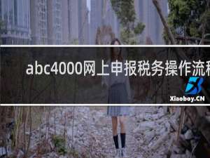 abc4000网上申报税务操作流程