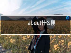 about什么梗