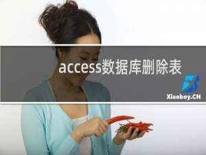 access数据库删除表