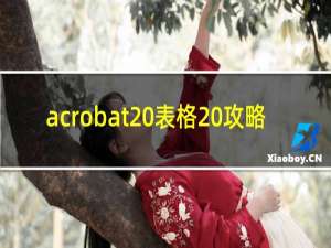 acrobat 表格 攻略